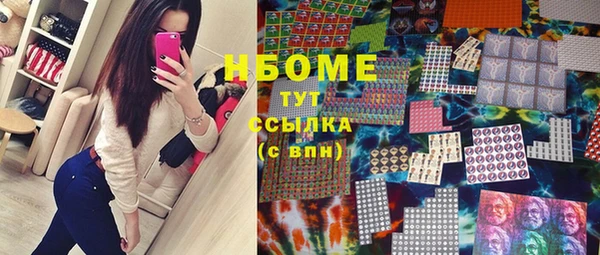сатива Вязьма