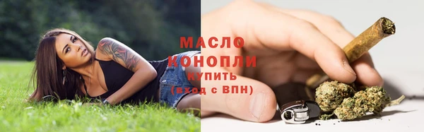 сатива Вязьма
